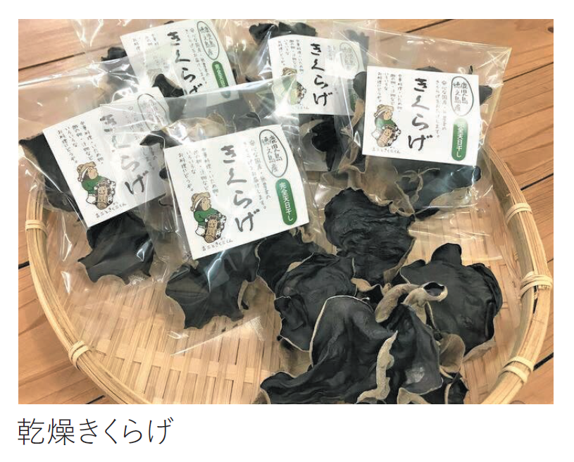 乾燥きくらげの写真